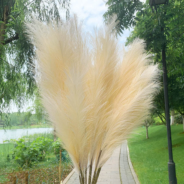 5Pcs Faux Pampas Grass Large