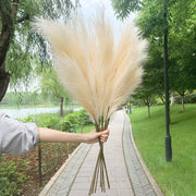 5Pcs Faux Pampas Grass Large