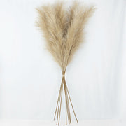 5Pcs Faux Pampas Grass Large