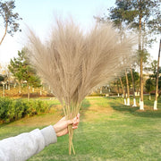 5Pcs Faux Pampas Grass Large