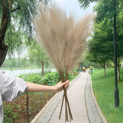 5Pcs Faux Pampas Grass Large