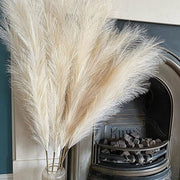 5Pcs Faux Pampas Grass Large