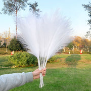 5Pcs Faux Pampas Grass Large