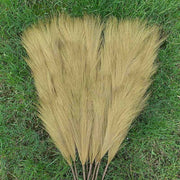 5Pcs Faux Pampas Grass Large