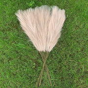 5Pcs Faux Pampas Grass Large