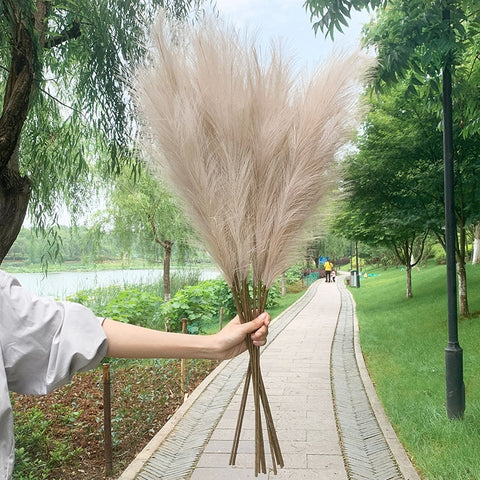 5Pcs Faux Pampas Grass Large